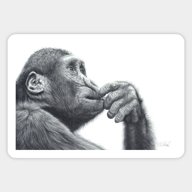 Brainstorm, chimpanzee pencil drawing Sticker by Mightyfineart